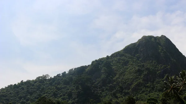 Gün Boyunca Sisli Bulutsuz Bir Dağ Manzarası — Stok fotoğraf