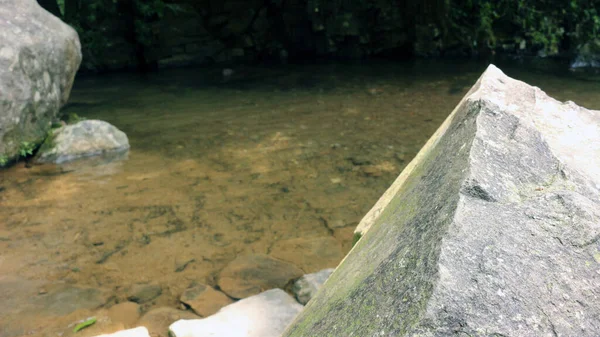 Skały Punktowane Przy Wodospadzie Roślinami Rzeką Ciągu Dnia — Zdjęcie stockowe