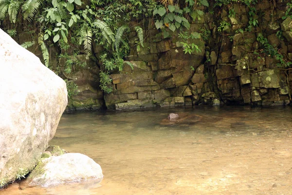 Ściana Skalna Przy Wodospadzie Roślinami Rzeką Ciągu Dnia — Zdjęcie stockowe