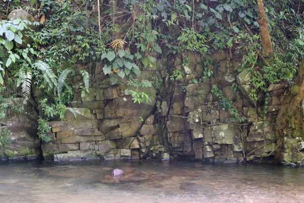Felswand Wasserfall Mit Pflanzen Und Fluss Tag — Stockfoto