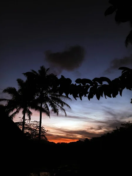 Hermosas Vistas Cielos Azules Anaranjados Siluetas Árboles Sombríos Noche —  Fotos de Stock