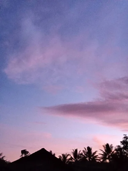 Вид Голубое Фиолетовое Небо Тенистые Силуэты Деревьев Ночное Время — стоковое фото