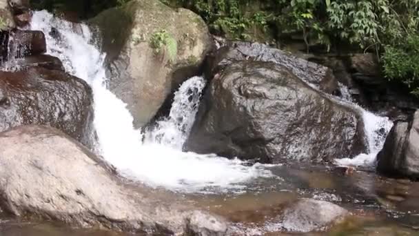 Вид Водопад Камнями Чистой Водой Водопад Чувствует Себя Посреди Леса — стоковое видео
