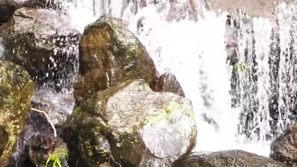 Kilátás Vízesés Sziklák Tiszta Víz Vízesés Úgy Érzi Erdő Közepén — Stock videók