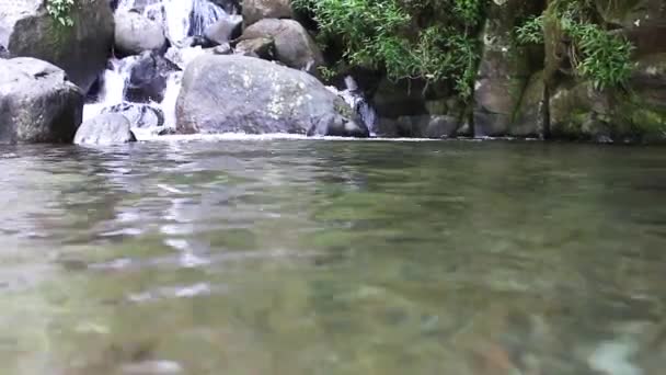 看到瀑布与岩石和清澈的水 这个瀑布感觉在森林的中央 Ciherang瀑布位于印度尼西亚茂物 — 图库视频影像