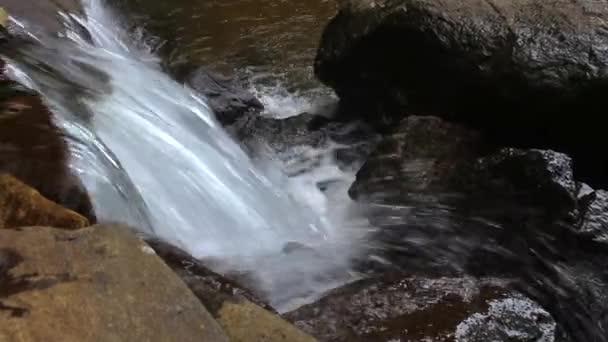 Вид Водопад Камнями Чистой Водой Водопад Чувствует Себя Посреди Леса — стоковое видео