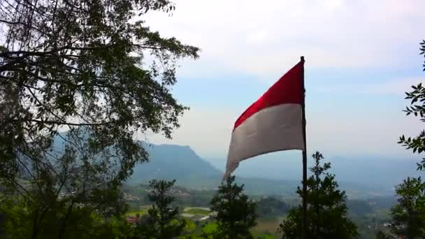 Tepede Dalgalanan Endonezya Bayrağı — Stok video