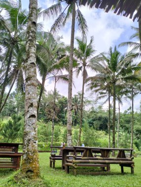 Gün boyunca yemek alanında boş bank ve masalar.