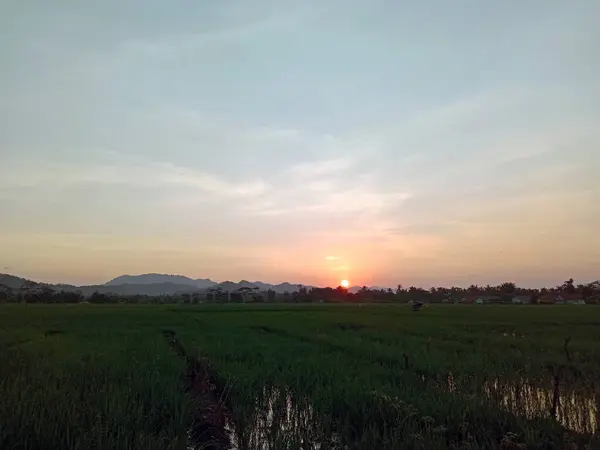 Blick Auf Reisfelder Und Berge Morgen — Stockfoto