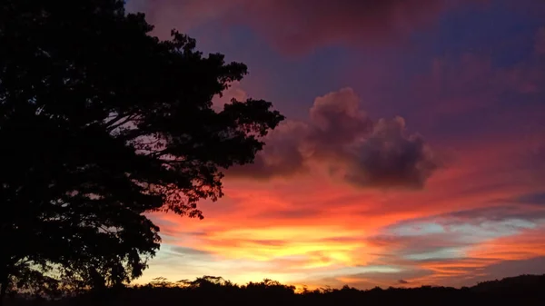 Blick Auf Den Wunderschönen Orangen Abendhimmel Mit Baumsilhouetten — Stockfoto
