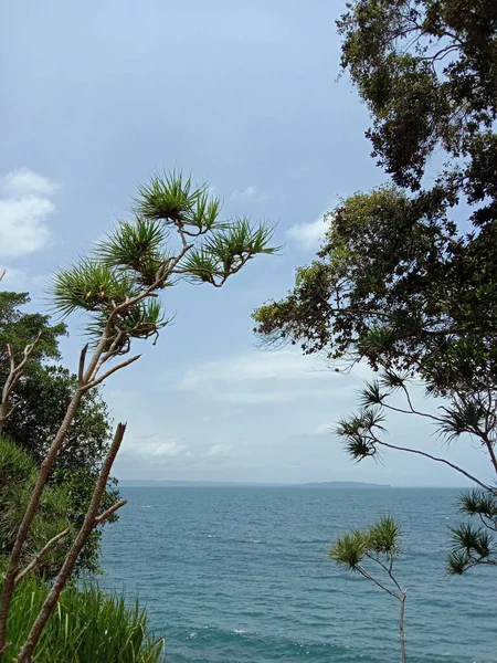 Άποψη Της Παραλίας Από Την Άκρη Φυτά Γύρω Της Κατά — Φωτογραφία Αρχείου