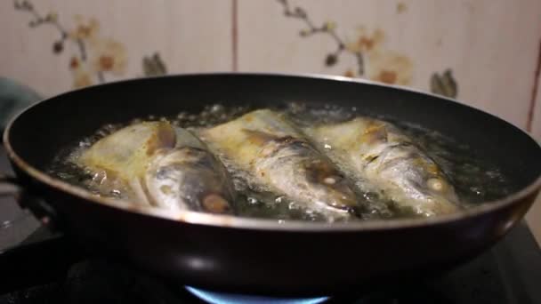 Готувати Рибу Плоскій Сковороді Плиті — стокове відео