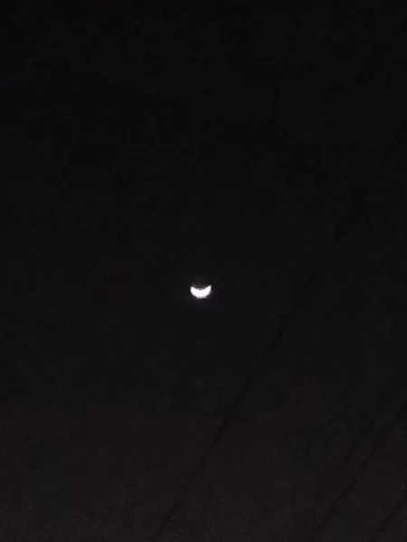 Beautiful View Moon Tree Silhouettes — Stock Photo, Image