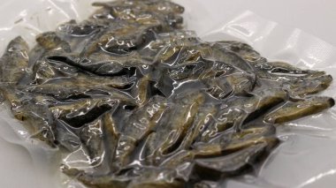 Beyaz arka planda ambalajda taze balık