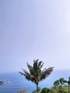 Tepenin tepesinden açık gökyüzü ile güzel deniz manzarası