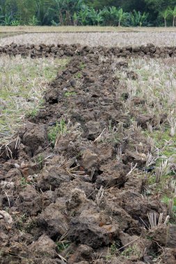 Topraktaki çatlak toprağın yakın görüntüsü