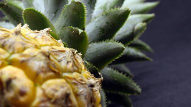 Siyah arka planda izole edilmiş taze ananas meyvesi.