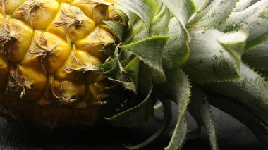 Siyah arka planda izole edilmiş taze ananas meyvesi.