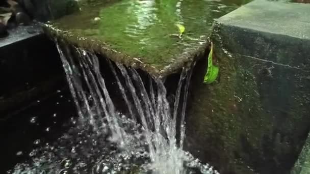 Fontaine Artificielle Dans Étang Poissons Semble Naturelle Car Beaucoup Mousse — Video