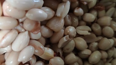 Fıstıklar soyuluyor. Fıstıkların işlendiğini görebilirsiniz. Önce soyulurlar..