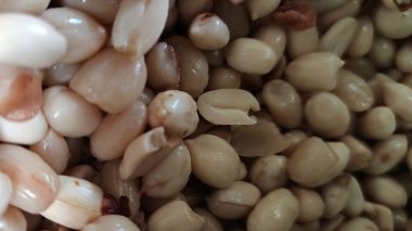 Fıstıklar soyuluyor. Fıstıkların işlendiğini görebilirsiniz. Önce soyulurlar..