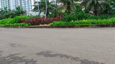 Otoyolun kenarında çimenler ve bitkiler yetişiyor.