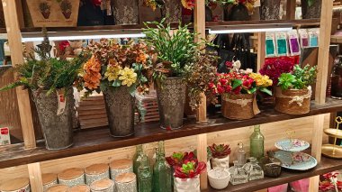 Dükkanda çeşitli renklerde sergilenen güzel dekoratif çiçekler.