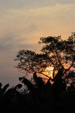Akşam günbatımı manzarası çok sıcak ve güzel görünüyor..