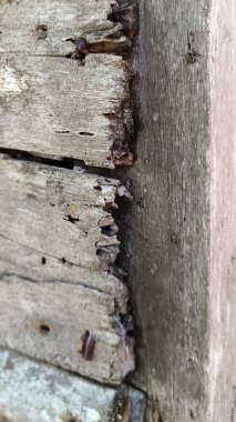 Hasarlı ahşap ev duvarının yakın görüntüsü