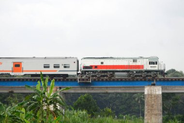 Demiryolu köprüsünden geçen bir yolcu treni görüntüsü. Ne güzel bir manzara..