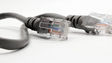 Siyah ağ kablosu beyaz arkaplanda izole edildi