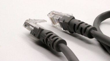 Siyah ağ kablosu beyaz arkaplanda izole edildi