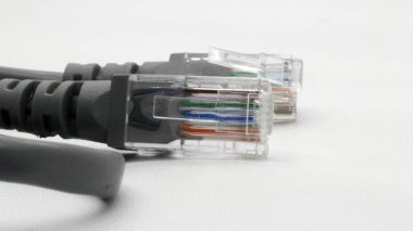 Siyah ağ kablosu beyaz arkaplanda izole edildi