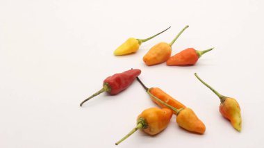 Beyaz arka planda kırmızı biber, taze bir mutfak baharatına benziyor..