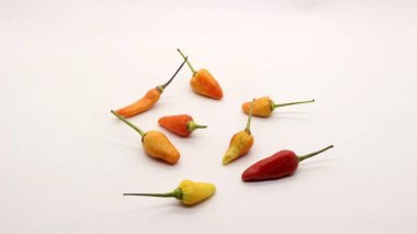 Beyaz arka planda kırmızı biber, taze bir mutfak baharatına benziyor..