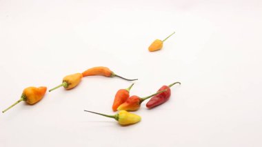 Beyaz arka planda kırmızı biber, taze bir mutfak baharatına benziyor..