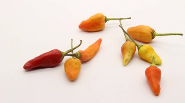Beyaz arka planda kırmızı biber, taze bir mutfak baharatına benziyor..