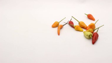 Beyaz arka planda kırmızı biber, taze bir mutfak baharatına benziyor..