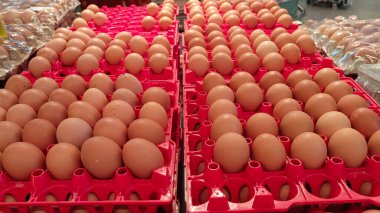 Süpermarketlerde taze yumurta satılıyor.