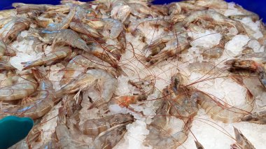 Süpermarkette buzla soğutulmuş taze karidesler.