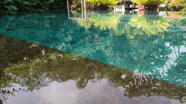 Ağaçlı güzel yüzme havuzu manzarası