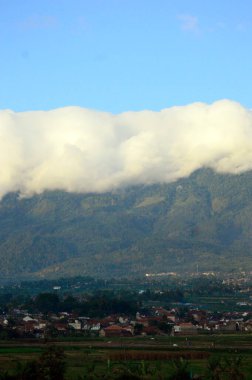 Güzel doğal manzaralı, kırsal kesimden geçen bir trenin görüntüsü.