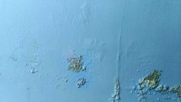 Mavi duvar boyası küflenmiş ve soyulmuş.