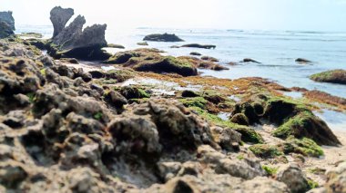 Endonezya 'da büyük kayalarla suluban sahilinin güzel manzarası