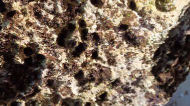 Endonezya 'da büyük kayalarla suluban sahilinin güzel manzarası