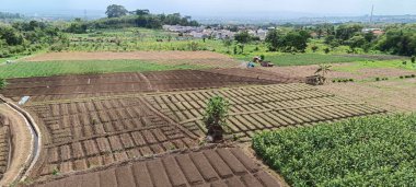 Yukarıdaki yerleşim bölgelerindeki pirinç tarlalarının ve tepelerin manzarası