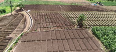 Yukarıdaki yerleşim bölgelerindeki pirinç tarlalarının ve tepelerin manzarası