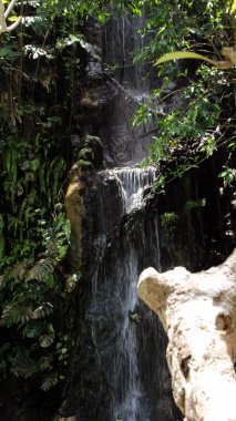 Endonezya 'daki Garuda Wisnu Kencana Kültür Parkı Bölgesi