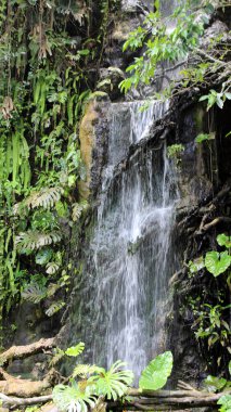 Endonezya 'daki Garuda Wisnu Kencana Kültür Parkı Bölgesi