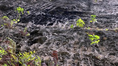 Endonezya 'daki Garuda Wisnu Kencana Kültür Parkı Bölgesi